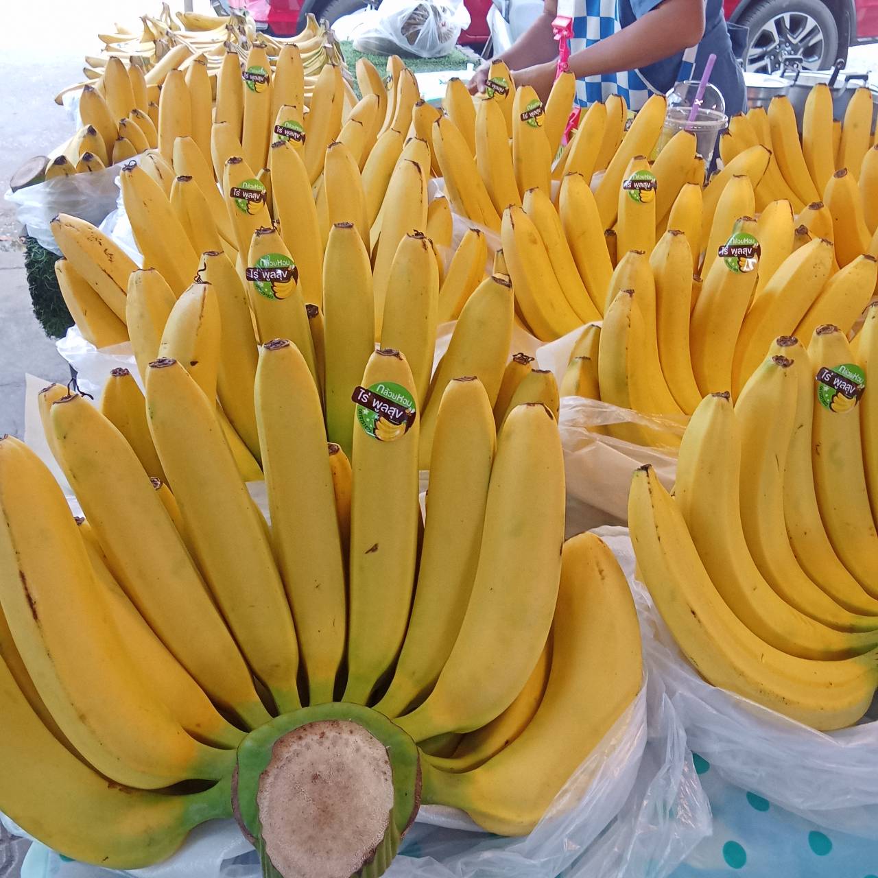 กล้วยหอมไร่พูลสุข